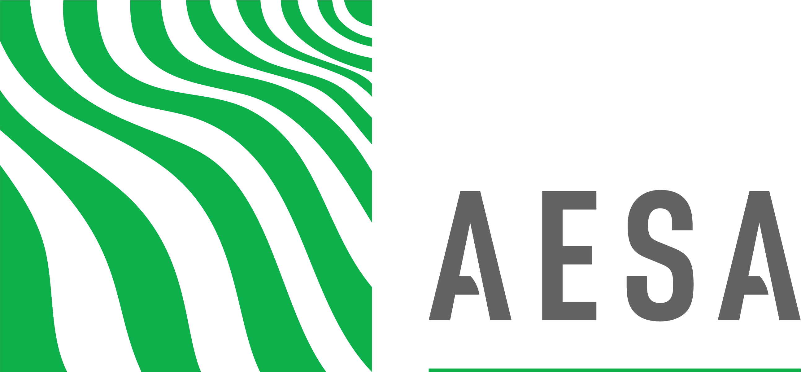 Agriconsulting (AESA)