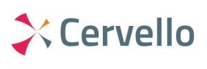 Cervello (Data analytics consulting)