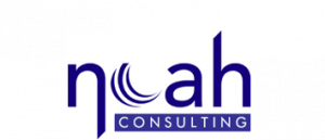 Noah Consulting (IT strategy and analytics)